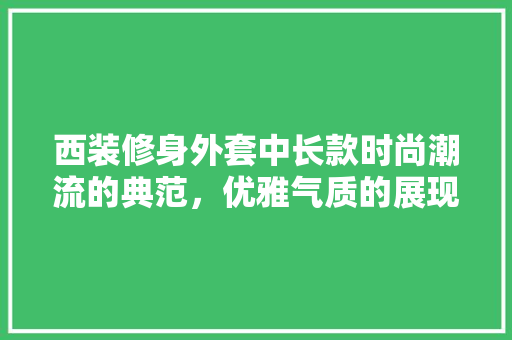 西装修身外套中长款时尚潮流的典范，优雅气质的展现