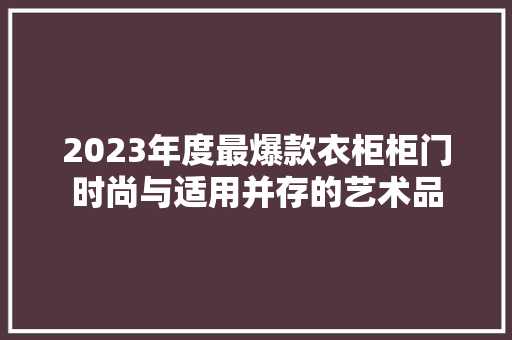 2023年度最爆款衣柜柜门时尚与适用并存的艺术品