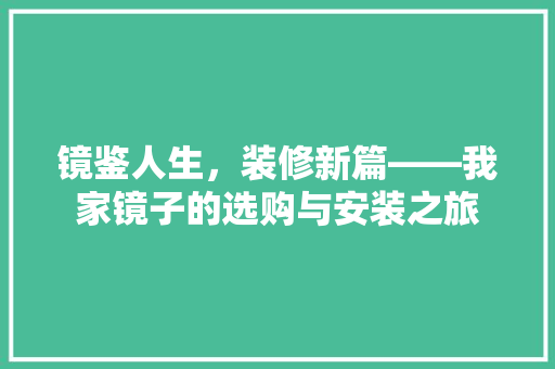 镜鉴人生，装修新篇——我家镜子的选购与安装之旅