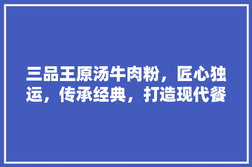 三品王原汤牛肉粉，匠心独运，传承经典，打造现代餐饮新标杆