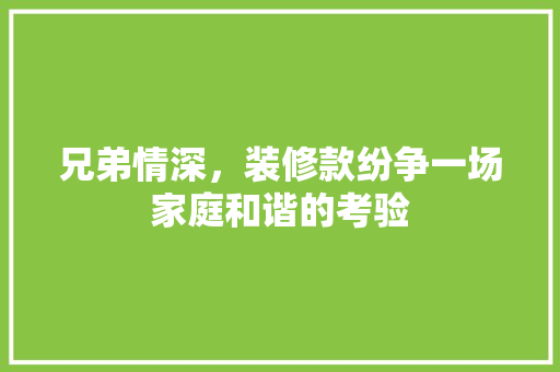兄弟情深，装修款纷争一场家庭和谐的考验