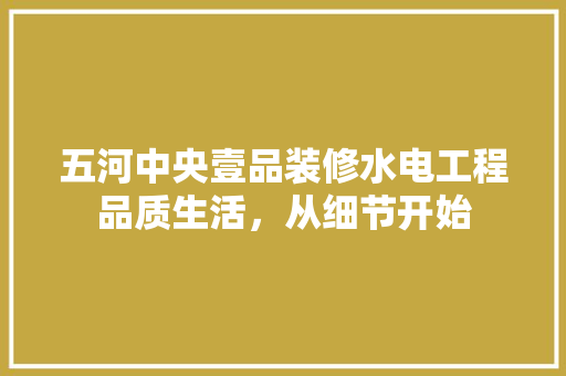 五河中央壹品装修水电工程品质生活，从细节开始