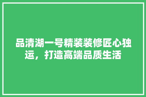 品清湖一号精装装修匠心独运，打造高端品质生活