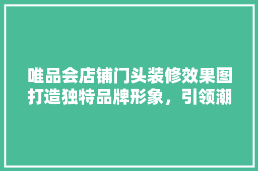 唯品会店铺门头装修效果图打造独特品牌形象，引领潮流趋势