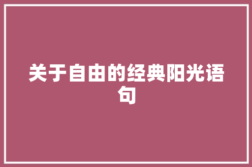 品一口奶茶店匠心独运的装修艺术，打造时尚休闲空间