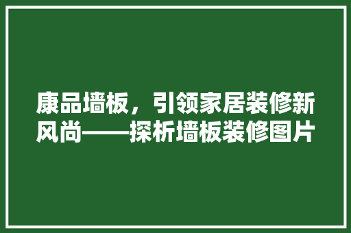 康品墙板，引领家居装修新风尚——探析墙板装修图片大全集