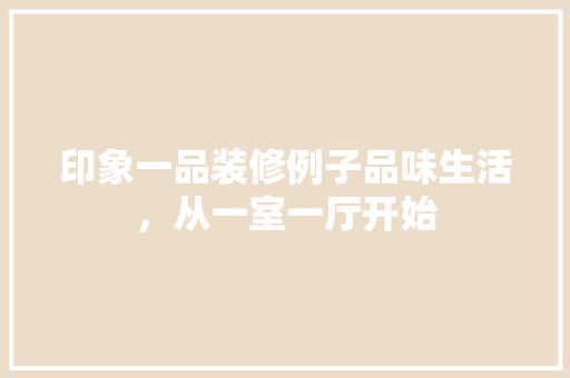 印象一品装修例子品味生活，从一室一厅开始