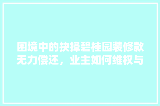 困境中的抉择碧桂园装修款无力偿还，业主如何维权与自救