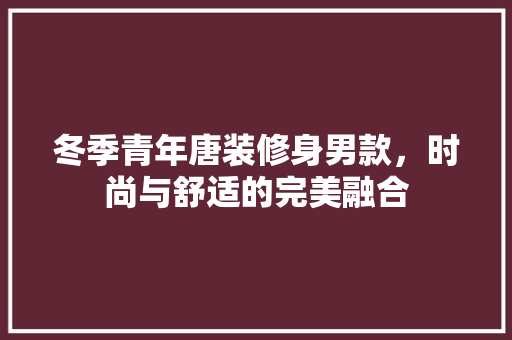 冬季青年唐装修身男款，时尚与舒适的完美融合