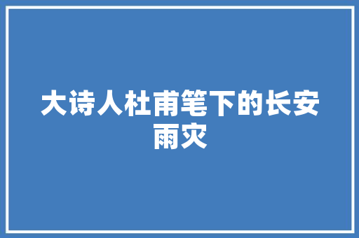 法院拍卖中如何成功追回装修款法律路径与步骤