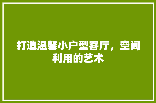 打造温馨小户型客厅，空间利用的艺术