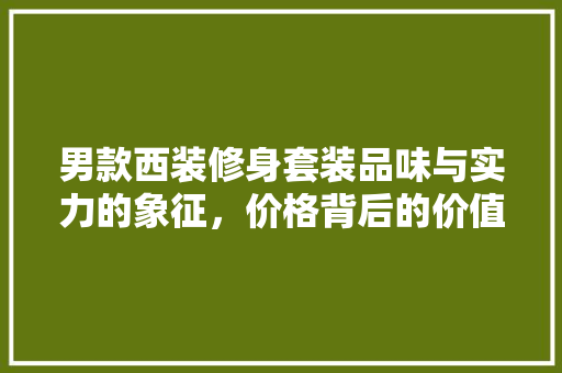 男款西装修身套装品味与实力的象征，价格背后的价值
